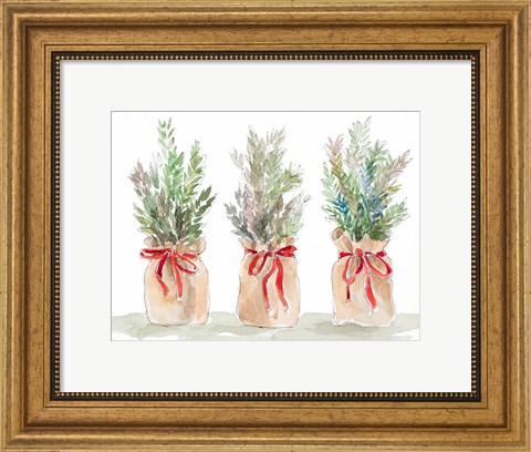 Framed Spruce Wrapped in Burlap Print