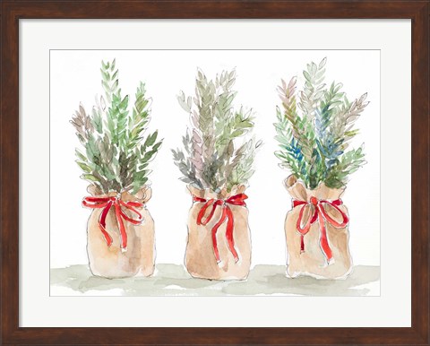 Framed Spruce Wrapped in Burlap Print