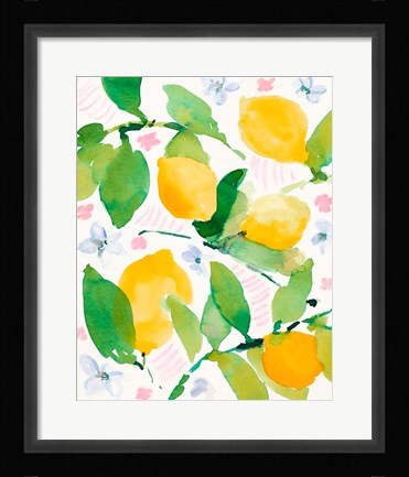 Framed Garden Lemons Print