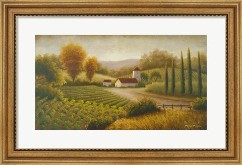 Framed Vineyard In The Sun II Print