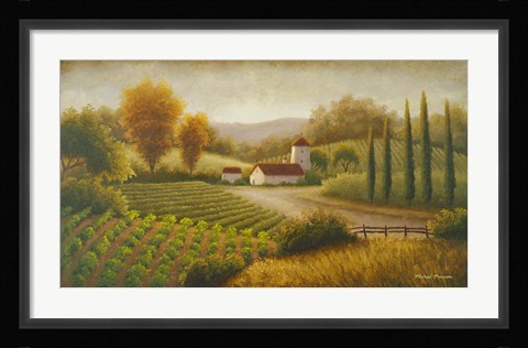 Framed Vineyard In The Sun II Print