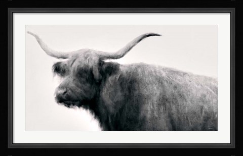 Framed Vintage Bull Print