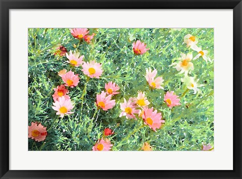 Framed Daisy Field I Print