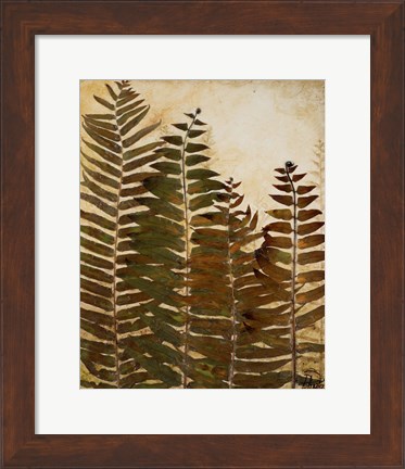 Framed Ferns I Print