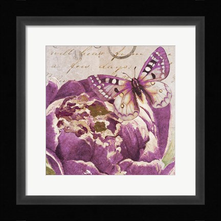 Framed Beautiful Peonies in Paris V Print