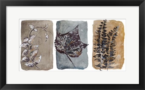 Framed Watercolor Sepia Leaves I Print