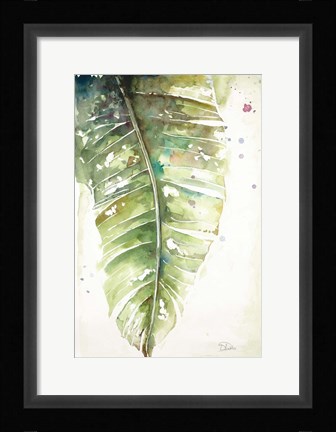 Framed Watercolor Plantain Leaves I Print