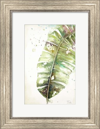 Framed Watercolor Plantain Leaves II Print