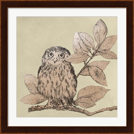 Framed Neutral Little Owls I Print