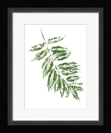 Framed Tropical Leaf Stamp Branch Print