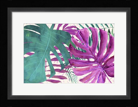Framed Rainforest Canopy II Print