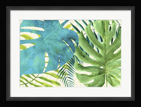 Framed Rainforest Canopy Print