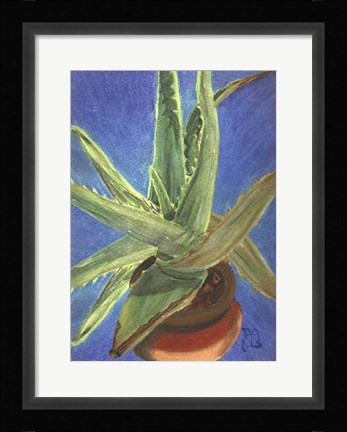 Framed Aloe Vera Print