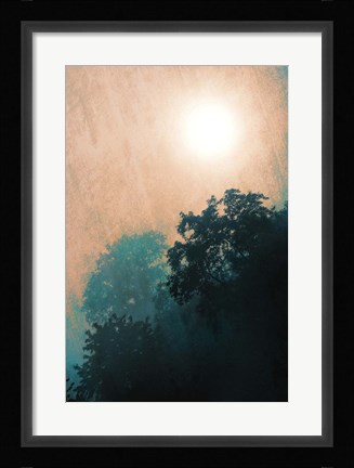 Framed Jungle Canopy At Sunset Print