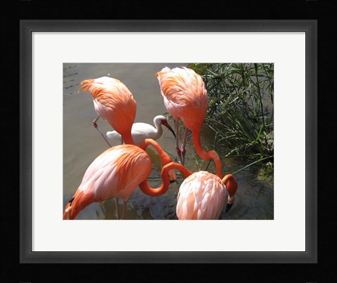 Framed It's Here Somewhere Print