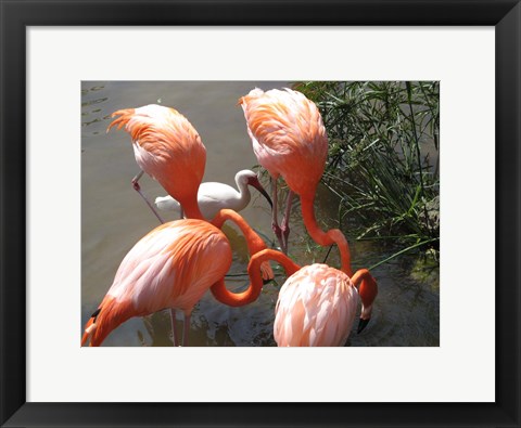 Framed It's Here Somewhere Print