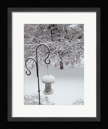 Framed No Birds Today Print