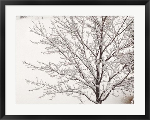 Framed Winter Serenity Print