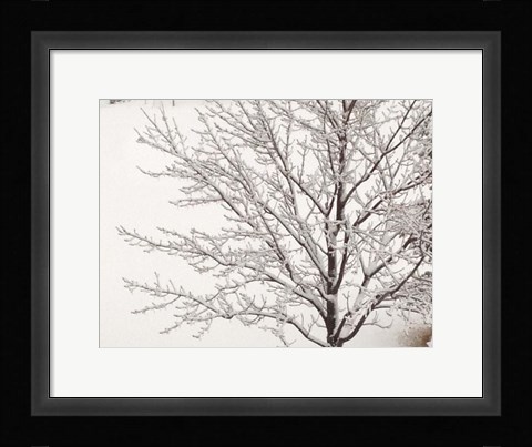 Framed Winter Serenity Print
