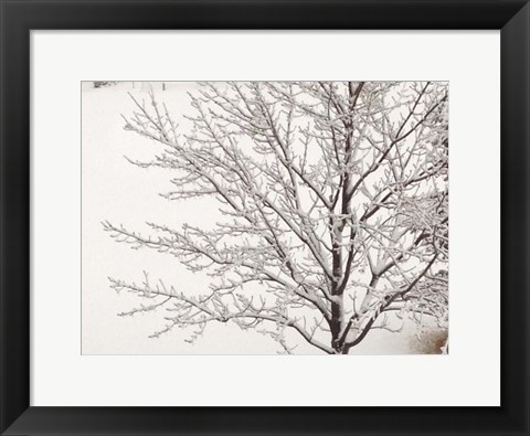 Framed Winter Serenity Print