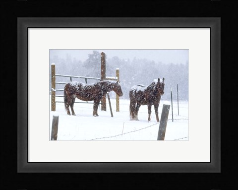 Framed Snowy Corral Print