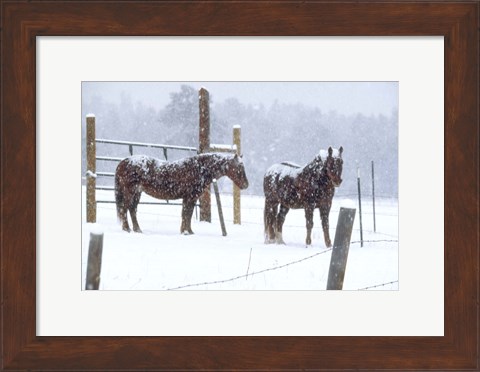 Framed Snowy Corral Print