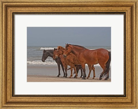 Framed Four Abreast Print