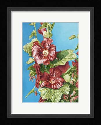 Framed Red Holly Print