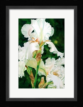 Framed Summer Dream Print