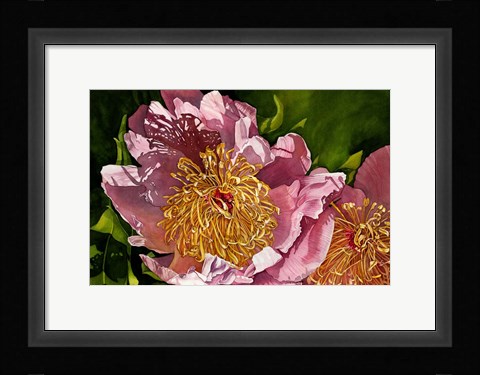 Framed Summer Shadows Print