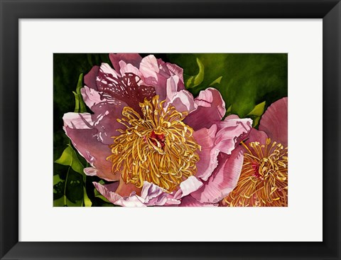 Framed Summer Shadows Print