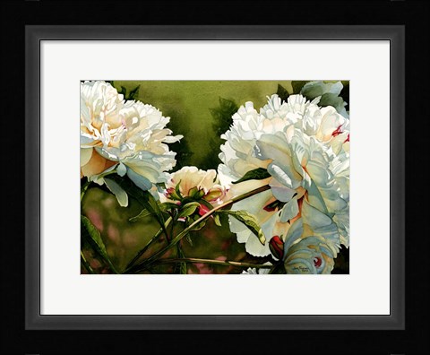 Framed Winter White Peony Print