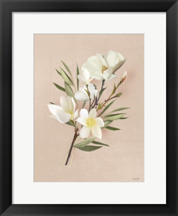 Framed Spring Magnolias Print