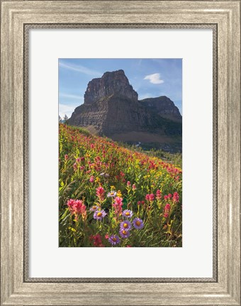 Framed Boulder Pass Wildflowers Print