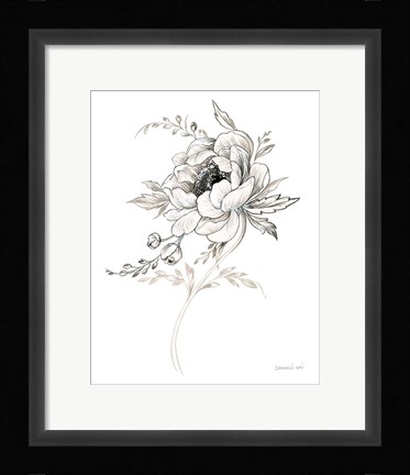 Framed Sketchbook Garden VIII BW Print