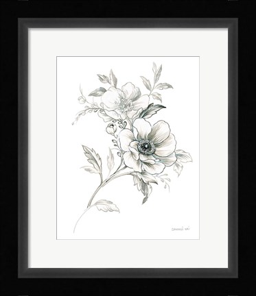 Framed Sketchbook Garden VII BW Print