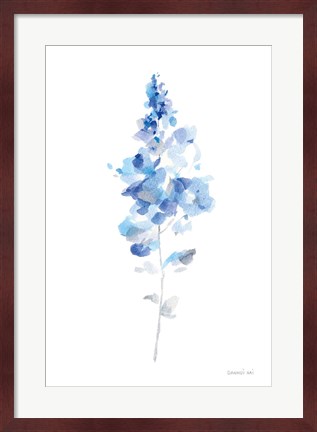 Framed Flower Study I Print