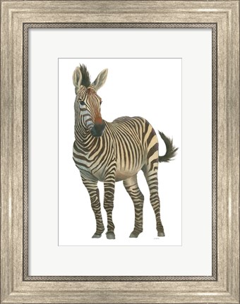 Framed Wild and Free VI Print
