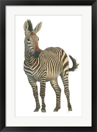 Framed Wild and Free VI Print