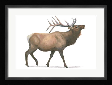 Framed Northern Wild III Print