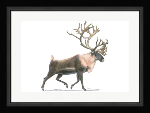 Framed Northern Wild IV Print