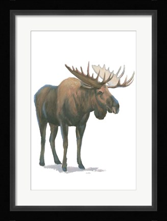 Framed Northern Wild VI Print