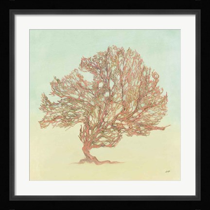 Framed Sea Fern II Print