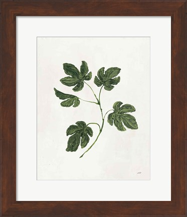 Framed Botanical Study III Greenery Print
