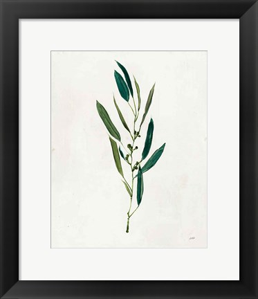 Framed Botanical Study I Greenery Print