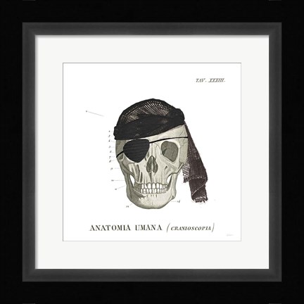 Framed Dandy Bones VI Pirate Print