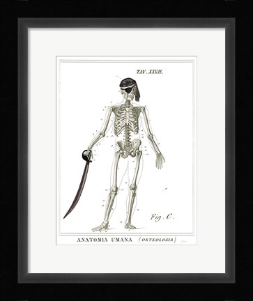 Framed Dandy Bones Pirate Print