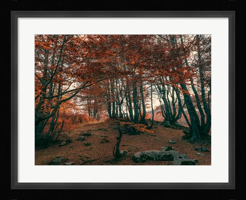 Framed Orange Season Print