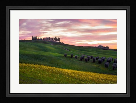 Framed Tuscany Palette Print