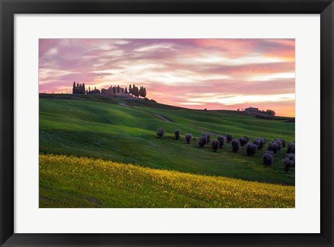 Framed Tuscany Palette Print